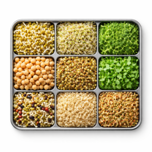 Sprouts