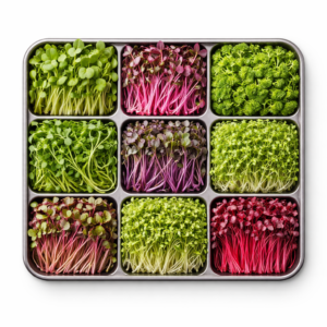 Microgreens