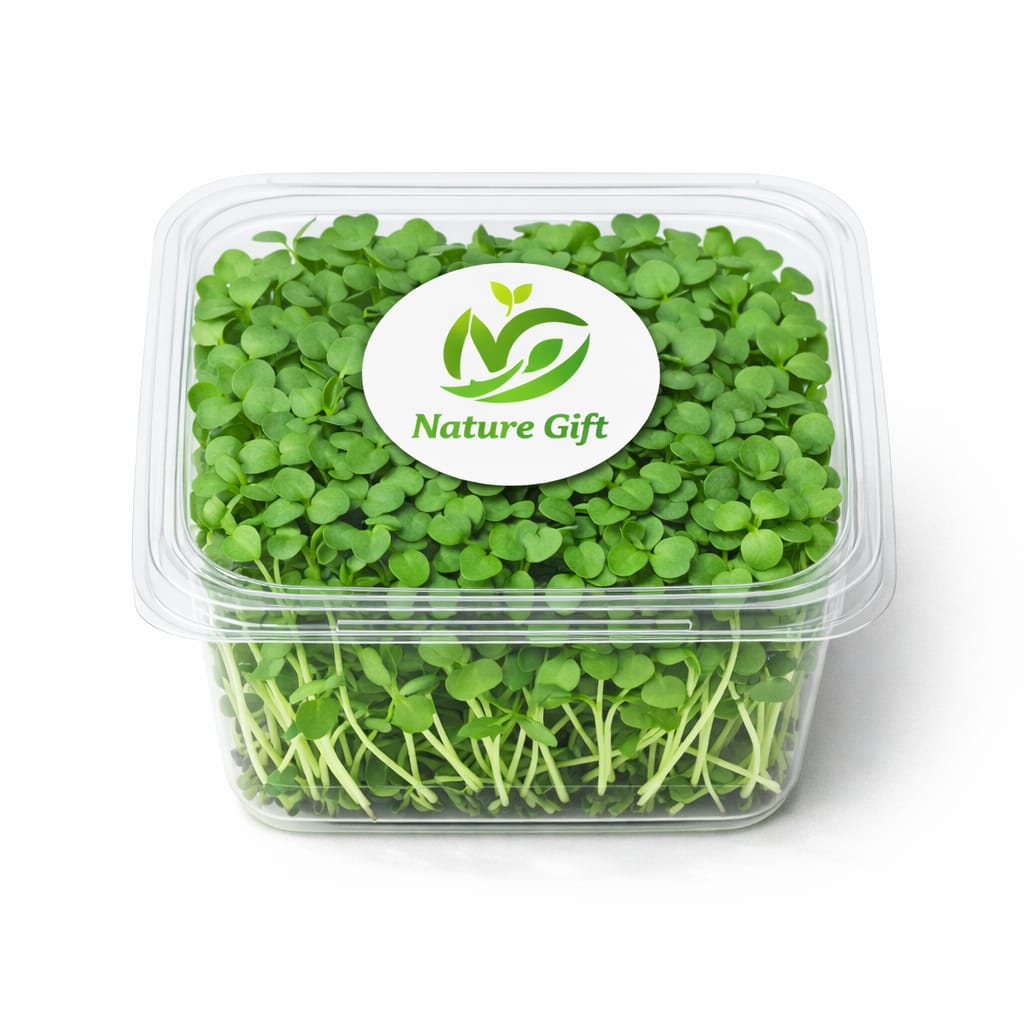 Mustard microgreen