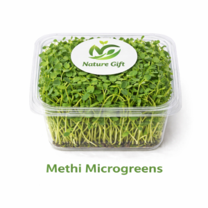 Methi (Fenugreek) Microgreen