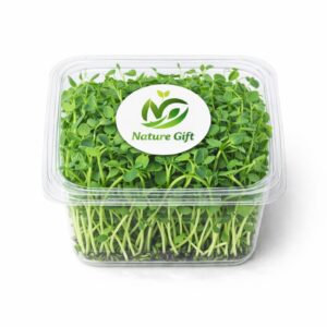 Pea Microgreen